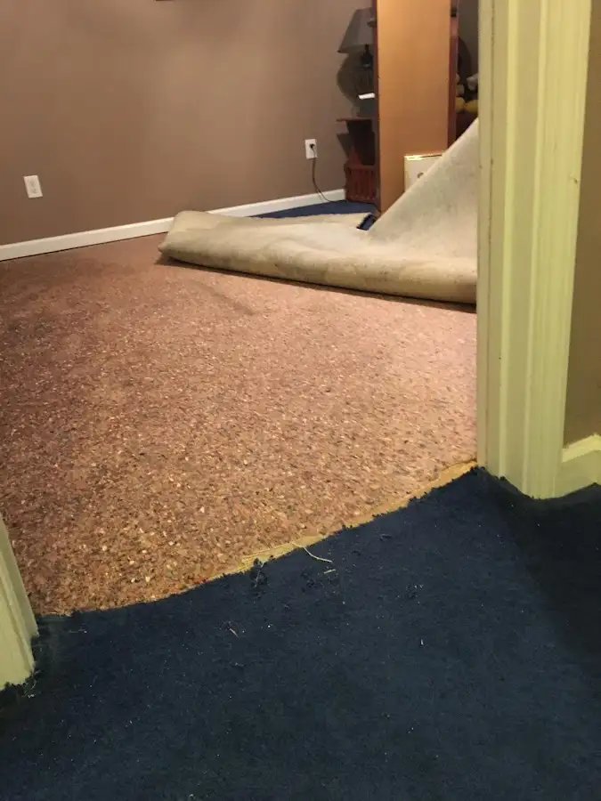 Carpet pad removal revealing water damage during Drying & Dehumidification in Massanetta Springs
