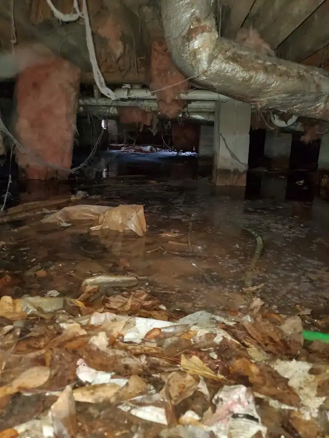 Crawl space flood assessment for Leak Detection & Repair in Massanetta Springs