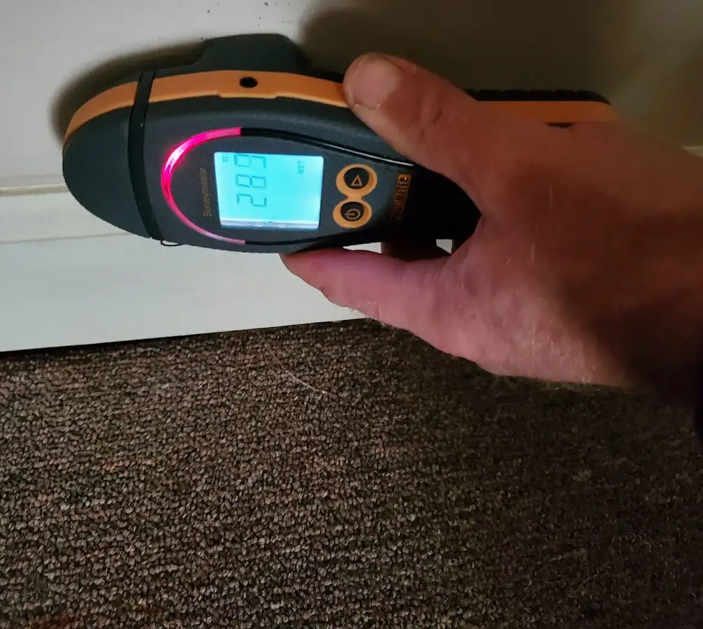 Moisture detection at baseboard during Mold Inspection & Testing in Massanetta Springs